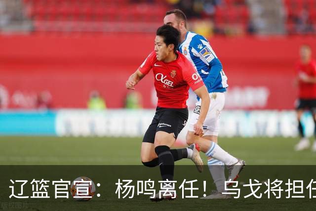 辽篮官宣：杨鸣离任！乌戈将担任辽宁男篮主帅